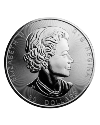 Global Cash - Bureau de Change - Currencies exchange Office -  Lyon Paris Nantes Marrakech