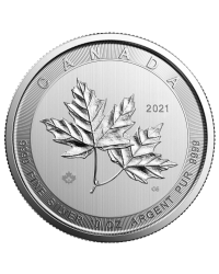 Global Cash - Bureau de Change - Currencies exchange Office -  Lyon Paris Nantes Marrakech